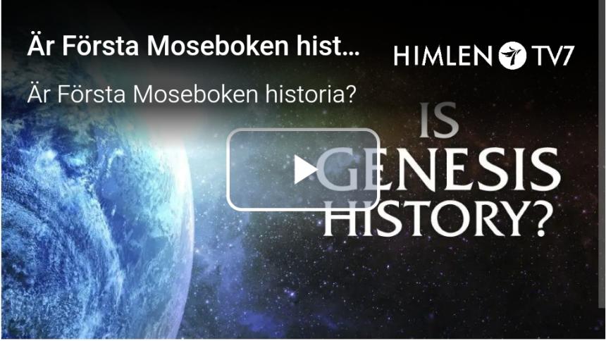 https://apg29.nu/bild/himlen-tv7-6706c461b9452.jpg - r Frsta Moseboken historia?