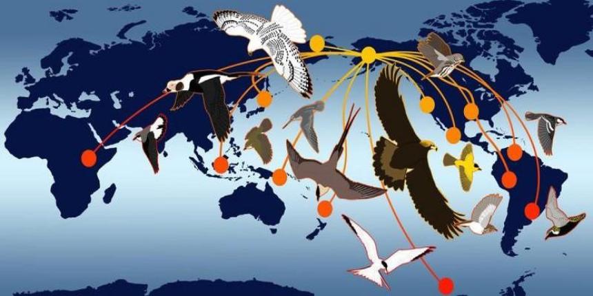 https://apg29.nu/bild/karta-1692258449.jpg - Fåglarnas ofattbara navigationsförmåga: Ett Gudomligt vittnesbörd i naturen